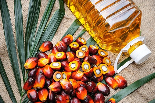 what-is-palm-oil-does-palm-oil-affect-cholesterol